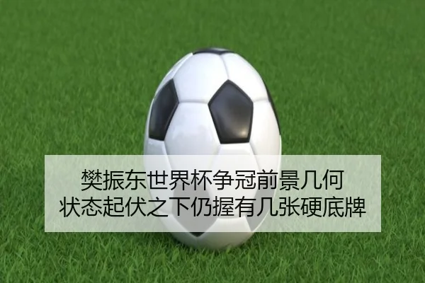 樊振东世界杯争冠前景几何 状态起伏之下仍握有几张硬底牌